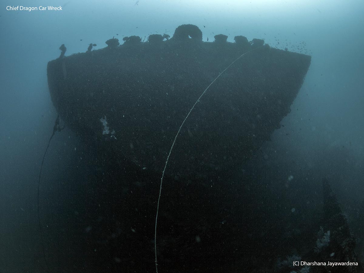 The Stern